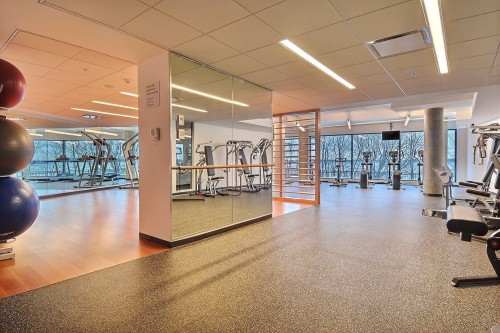 Exercise Room - 2809-299 Rue De La Rotonde, Montréal (Verdun/Île-Des-Soeurs), QC 
