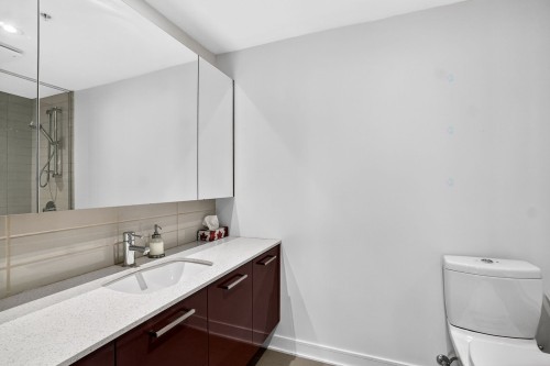 Master Bathroom - 2809-299 Rue De La Rotonde, Montréal (Verdun/Île-Des-Soeurs), QC 