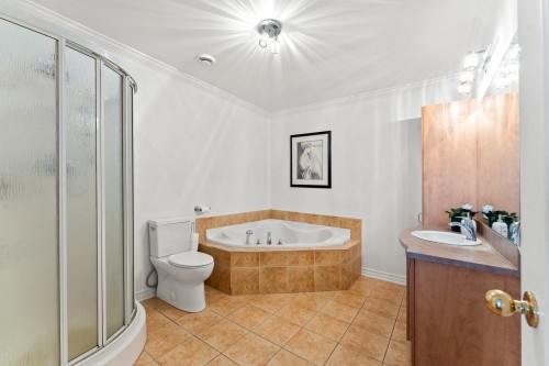 Salle de bains - B-954 Rue Einstein, Repentigny (Repentigny), QC 