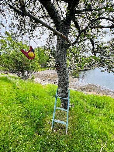 30 Stover Rd, Fairhaven, NB 