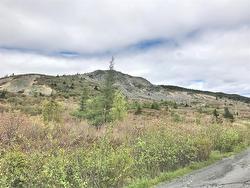 3-49 Northern Cove Pond Road Spaniards Bay, NL A0A 3X0