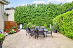 Courtyard - 