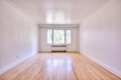 Salon - 