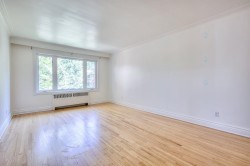 Salon - 