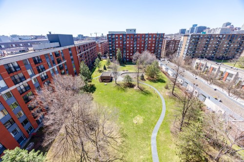 Garden - 704-551 Rue De La Montagne, Montréal (Ville-Marie), QC 