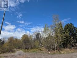 35 Aspen Drive Northern Arm, NL A0H 1E0