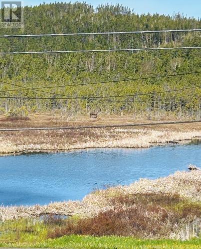 124 Road To The Isles Road, Summerford, NL 