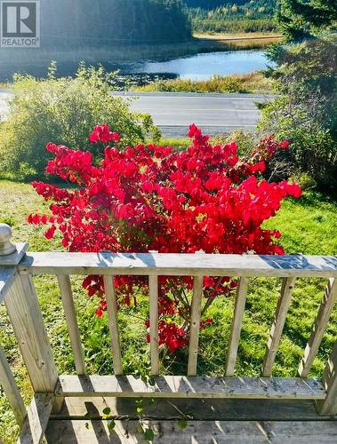124 Road To The Isles Road, Summerford, NL 