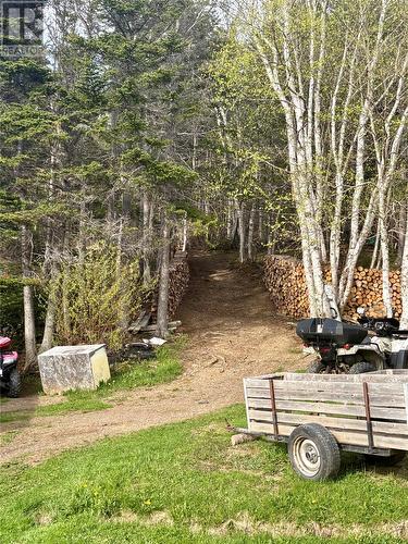 124 Road To The Isles Road, Summerford, NL 