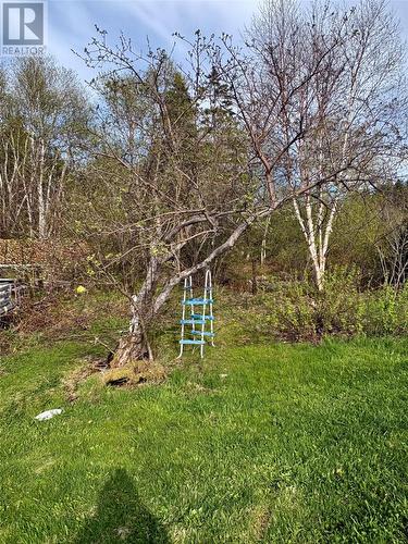 124 Road To The Isles Road, Summerford, NL 