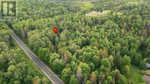 123 Ely Side Road, Armour, ON 
