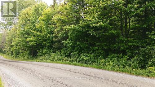 123 Ely Side Road, Armour, ON 