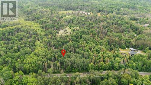 123 Ely Side Road, Armour, ON 
