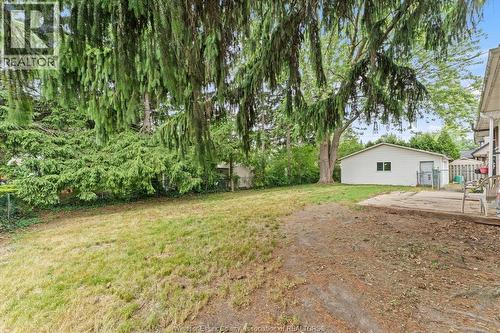4065 Dougall, Windsor, ON 