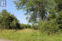 494 TWIN SISTER LAKES ROAD Marmora And Lake (Marmora Ward), ON K0K 2M0