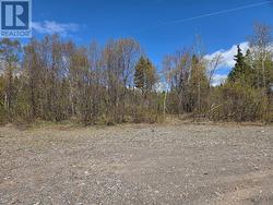 44 Aspen Drive Northern Arm, NL A0H 1E0
