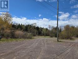 29-46 Aspen Drive Northern Arm, NL A0H 1E0