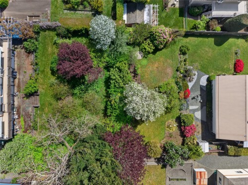680 View Ave, Courtenay, BC 