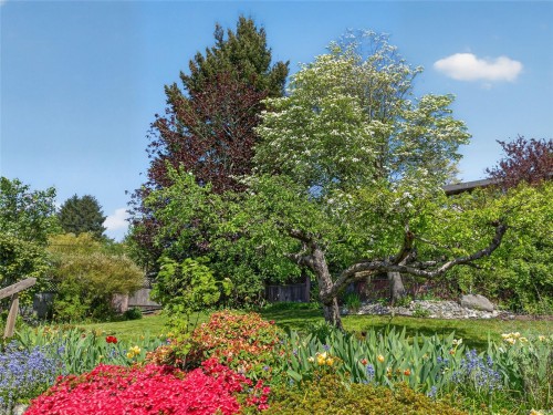 680 View Ave, Courtenay, BC 