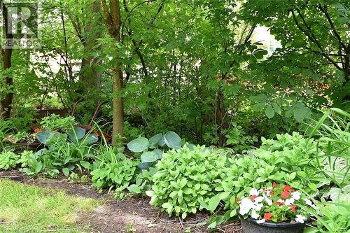 603 Upper Wentworth Street, Hamilton, ON 