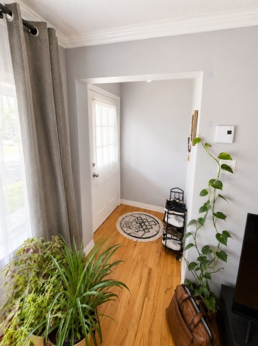 Hall d'entrée/Vestibule - 138 Rue Fontaine, Gatineau (Hull), QC 