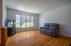 Living Room - 