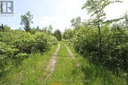 LT27 RAMBLEWOOD TRAIL Kawartha Lakes, ON K0M 2B0