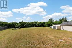 Back Yard - 