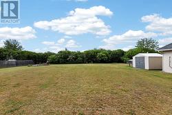 Back Yard - 