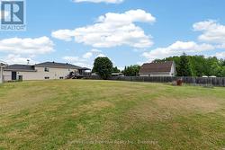 Back Yard - 