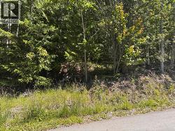 Lot 131 Aspen Road Anglemont, BC V0E 1M8
