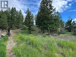 Lot 20 Berland Bend Lot# 20 Windermere, BC V0B 2L0