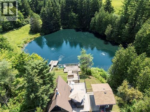 Private pond featuring a wooden dock and surrounding lush greenery - 182 Governors Road E, Paris, ON 