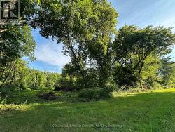 00 PITTSTON ROAD Edwardsburgh/Cardinal, ON K0E 1X0
