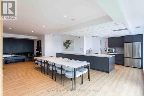 507 - 55 East Liberty Street, Toronto, ON 