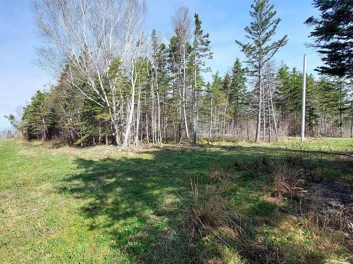 7.3 Acre Highway 4, Red Islands, NS 