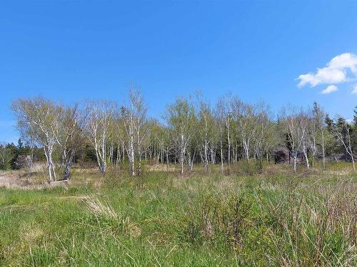 7.3 Acre Highway 4, Red Islands, NS 