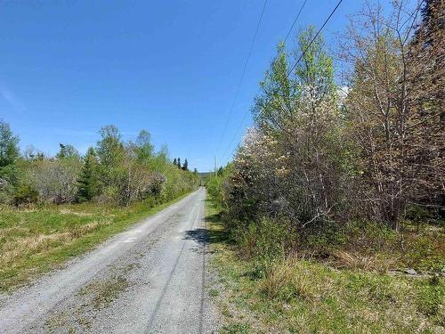 7.3 Acre Highway 4, Red Islands, NS 