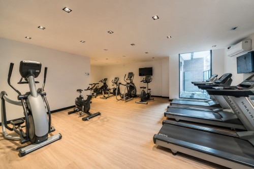 Other - 625-3043 Rue Sherbrooke E., Montréal (Rosemont/La Petite-Patrie), QC - Indoor Photo Showing Gym Room