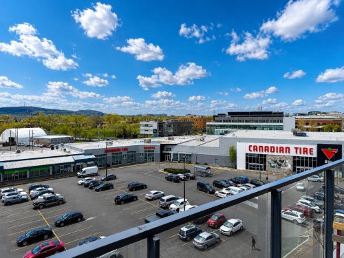 View - 625-3043 Rue Sherbrooke E., Montréal (Rosemont/La Petite-Patrie), QC - Outdoor With View