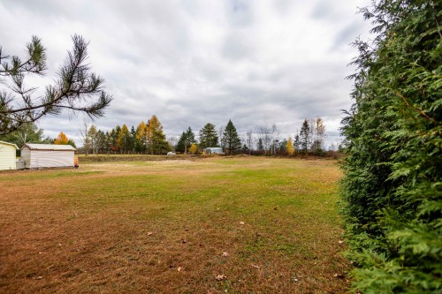 Cour - 2650 Ch. St-Pierre, Sainte-Thècle, QC - Outdoor With View