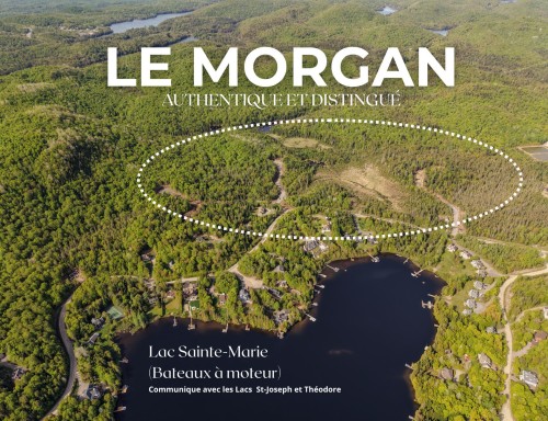 Vue sur l'eau - 23 Ch. Morgan, Saint-Adolphe-D'Howard, QC 