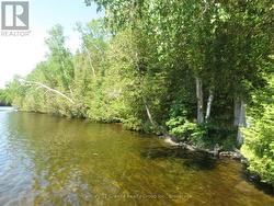 0 FIRE ROUTE 330 ROUTE Trent Lakes, ON K0M 1R0