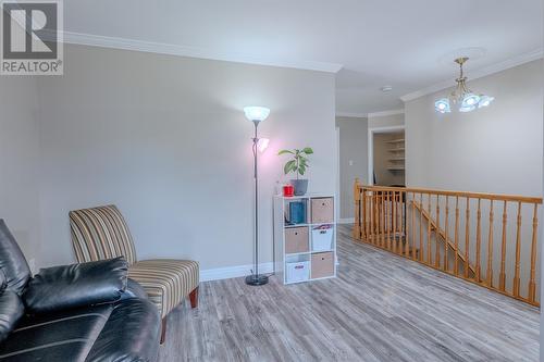 2 Carlow Place, St. John'S, NL 