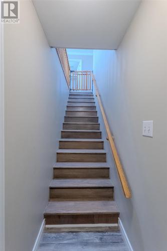 2 Carlow Place, St. John'S, NL 