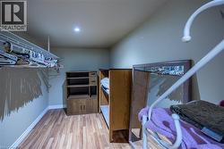 Large, finished walk-in closet in the basement - 