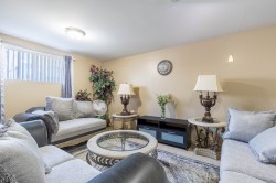 Family Room - 