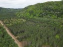 Vue d'ensemble - Ch. Du Sous-Bois, Bowman, QC 