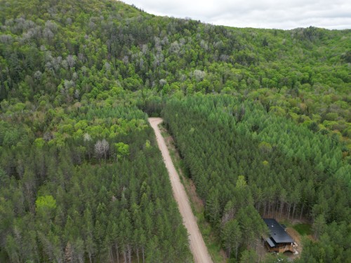 Vue d'ensemble - Ch. Du Sous-Bois, Bowman, QC 