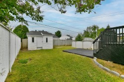 Courtyard - 